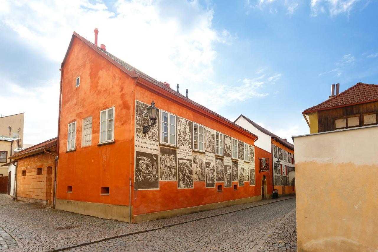 Pension Paseka Hotel Litomysl Exterior photo