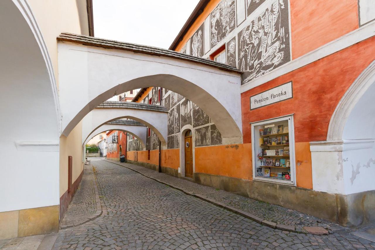 Pension Paseka Hotel Litomysl Exterior photo